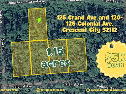Your 5 Properties in Crescent City : Crescent City : Putnam County : Florida