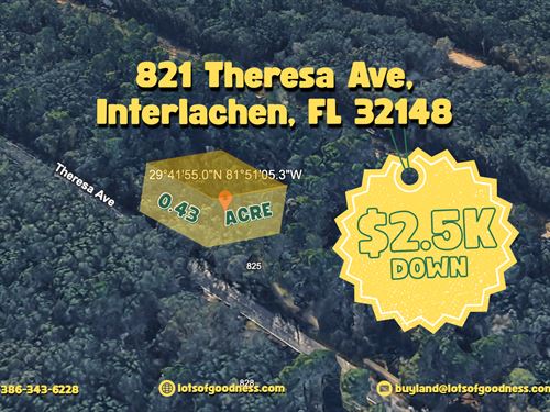821 Theresa Ave on a Paved Road : Interlachen : Putnam County : Florida
