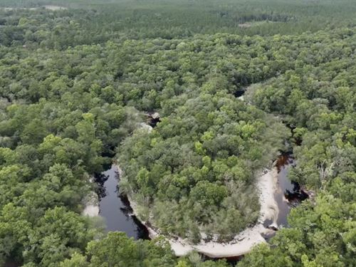 Beautiful Riverfront Lot 8 : Saint George : Charlton County : Georgia