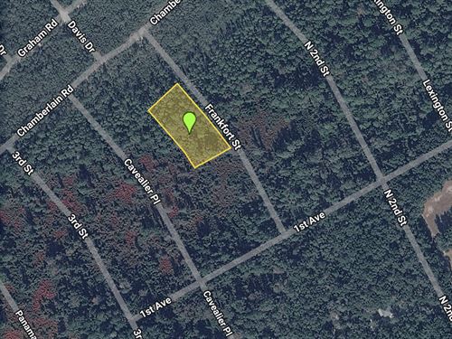 Frankfort St on a Dirt Road : Interlachen : Putnam County : Florida