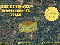 368 SE 10th St Lot Near Erie Avenue : Interlachen : Putnam County : Florida