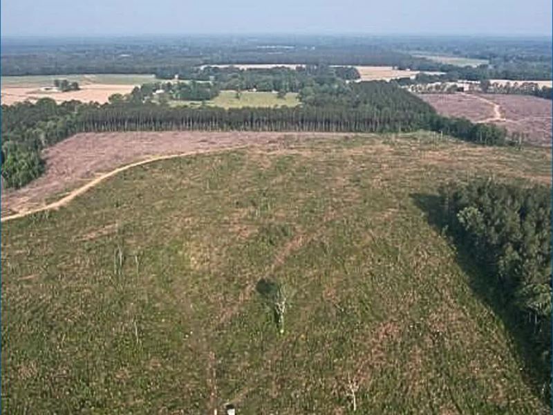 44.7 Acres in Rankin County in Pela : Pelahatchie : Rankin County : Mississippi