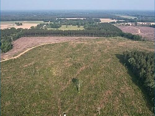 44.7 Acres in Rankin County in Pela : Pelahatchie : Rankin County : Mississippi