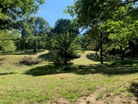 Residential Vacant Land for Sale : Manchester : Washtenaw County : Michigan