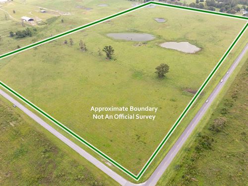 Beautiful Tract : Live Oak : Suwannee County : Florida