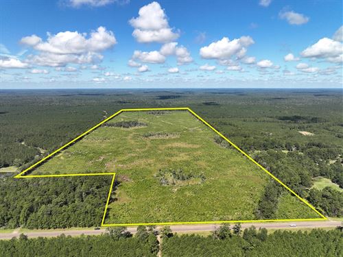 161 Acres, T-6 FM 92 287044-04 : Spurger : Tyler County : Texas
