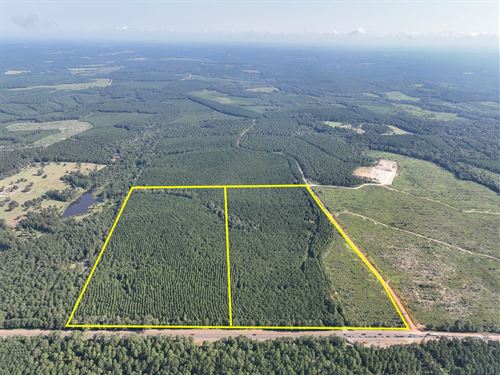 48 Acres Highway 190 : Woodville : Tyler County : Texas