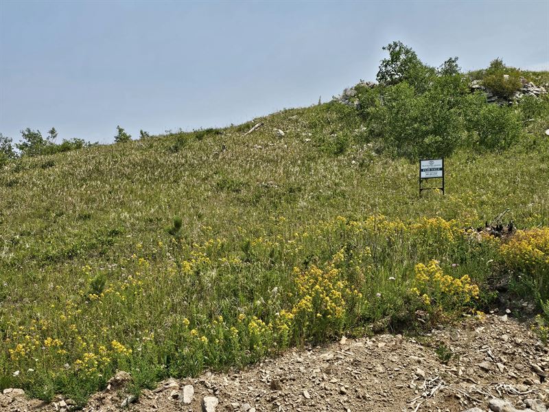 Majestic Heights Road, Lot 11 : Sturgis : Lawrence County : South Dakota