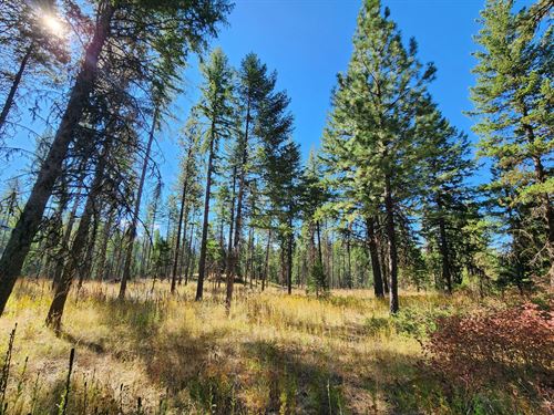 Deepwoods Sanctuary : Curlew : Ferry County : Washington