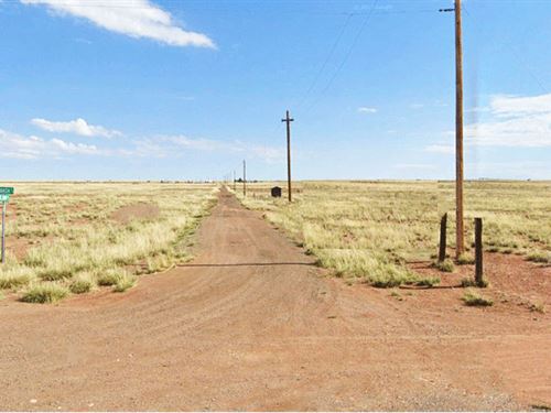 Quiet Corner of Sun Valley : Sun Valley : Navajo County : Arizona