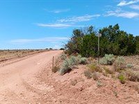 Check Out 1.24 Acres Near St. Johns : Saint Johns : Apache County : Arizona