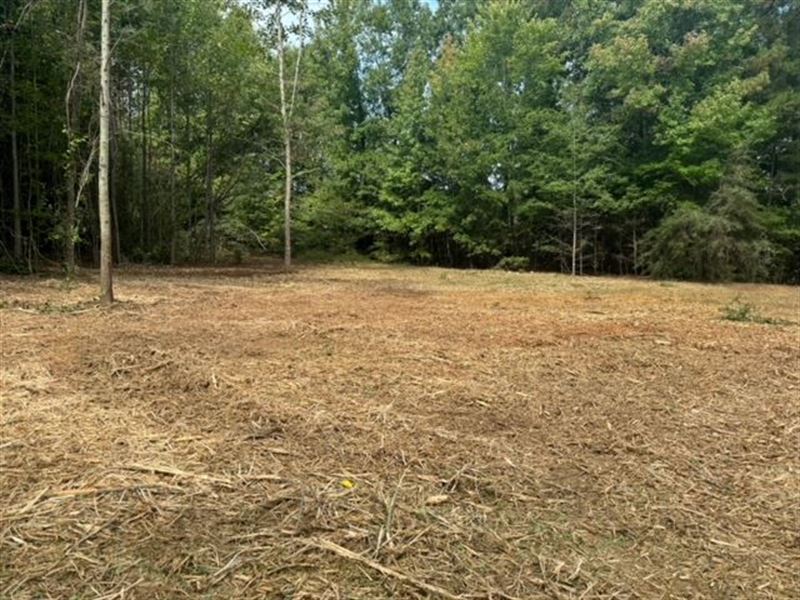 2.88 Acres on Highway 221 in LA : Laurens : Laurens County : South Carolina