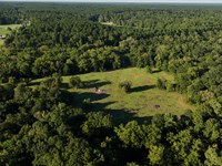 Calfee Ranch 175 : Montgomery : Texas
