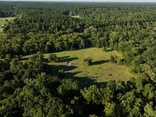 Calfee Ranch 175 : Montgomery : Texas