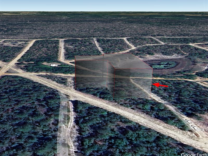 Lot in Northern Florida $326/Mo : Interlachen : Putnam County : Florida