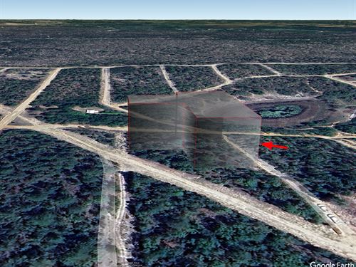 Lot in Northern Florida $326/Mo : Interlachen : Putnam County : Florida