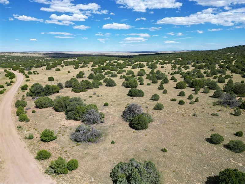 Rio Cucharas Ph 3 911-914, Walsenbu : Walsenburg : Huerfano County : Colorado