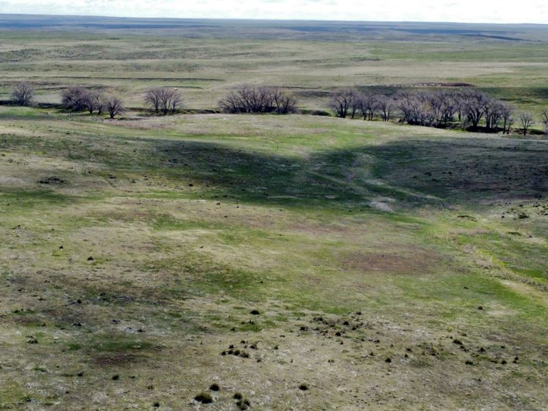 Parcel 7 Willow Gulch Ranch : Deer Trail : Elbert County : Colorado