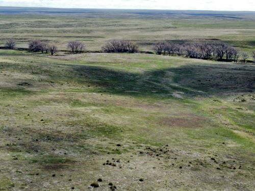 Parcel 7 Willow Gulch Ranch : Deer Trail : Elbert County : Colorado
