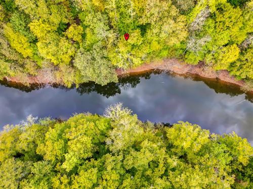 Norris Lake Lot, 112 Ft Shoreline : New Tazewell : Claiborne County : Tennessee