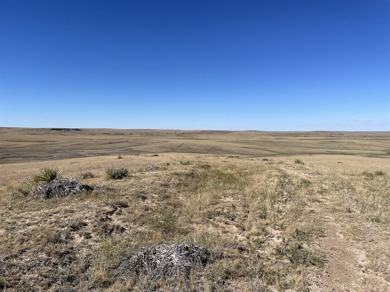 West Ranch 1935 : Agate : Elbert County : Colorado