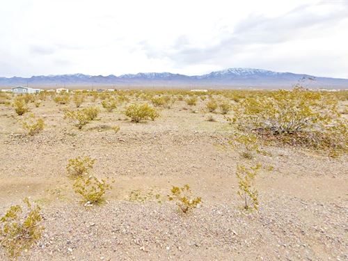 Rural Dream Lot for $359.51/Mo : Pahrump : Nye County : Nevada