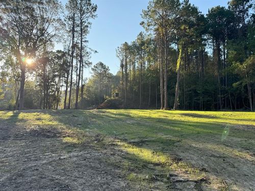 296 Acre Timberland For Sale : Crosby : Wilkinson County : Mississippi