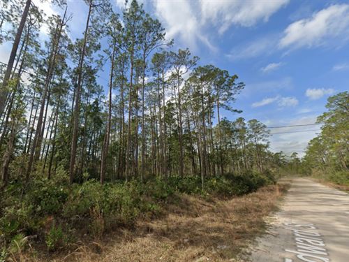 Land a Sweet Deal in Interlachen : Interlachen : Putnam County : Florida