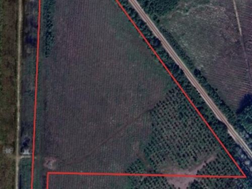 Andrew's Grove Lot 15 : Hilliard : Nassau County : Florida