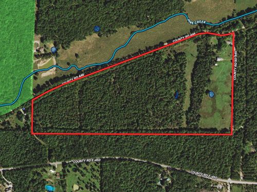 Home, Shop, Corners National Forest : Winona : Shannon County : Missouri
