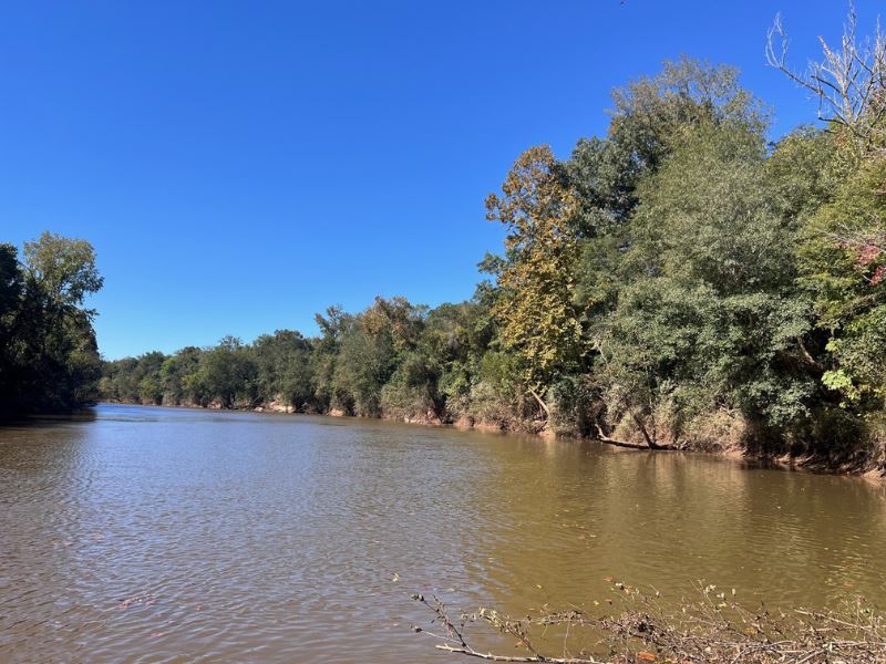 Flint River Forest : Roberta : Crawford County : Georgia