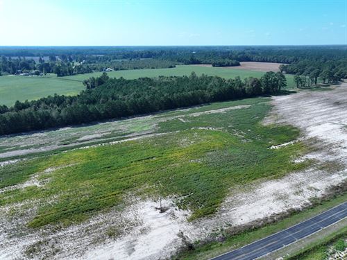Large Residential Lot or Mini Farm : Fairmont : Robeson County : North Carolina