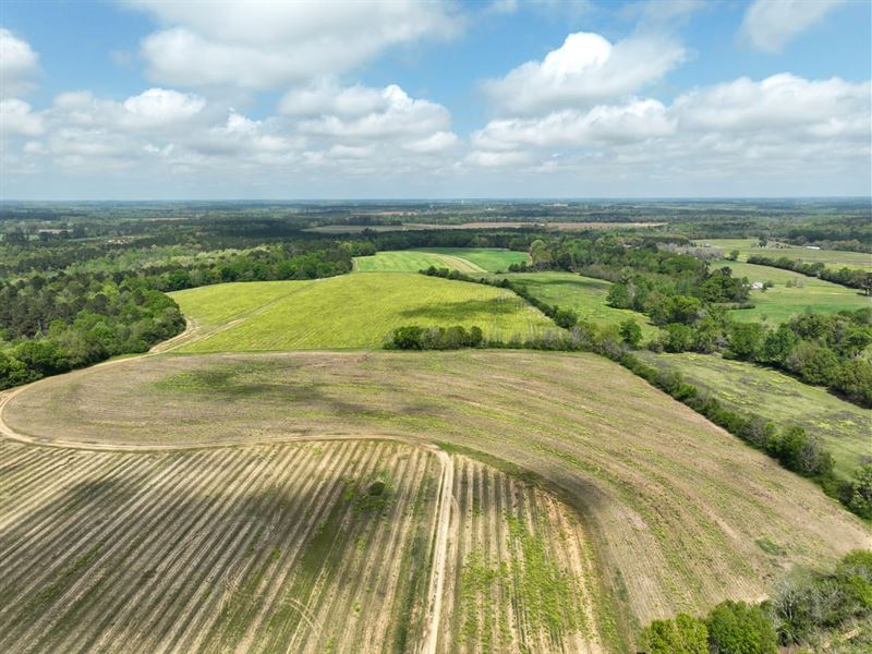 180 Acre Development or Residential : Dothan : Houston County : Alabama