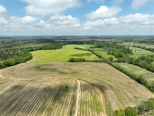 180 Acre Development or Residential : Dothan : Houston County : Alabama