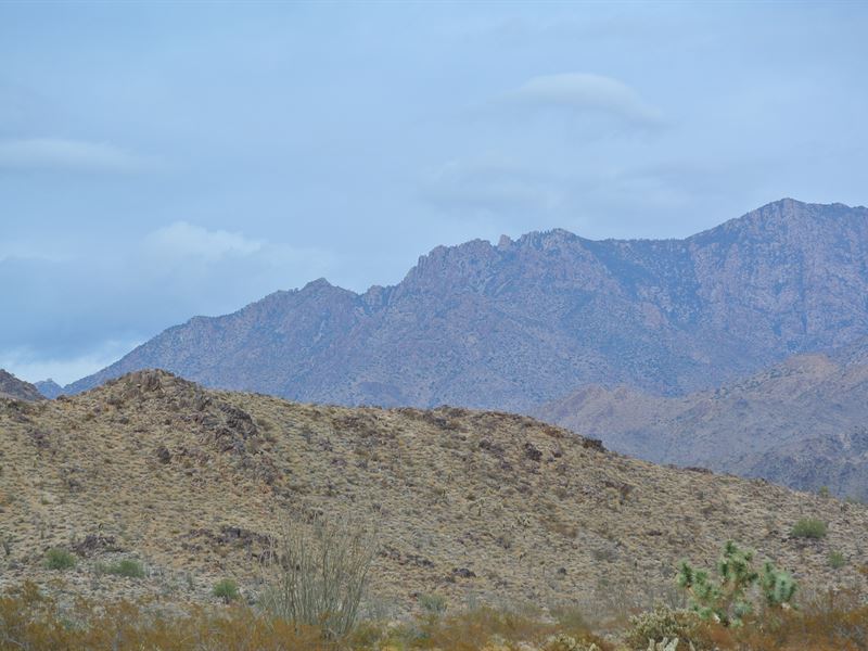 Find Your Freedom Near I-40 : Yucca : Mohave County : Arizona