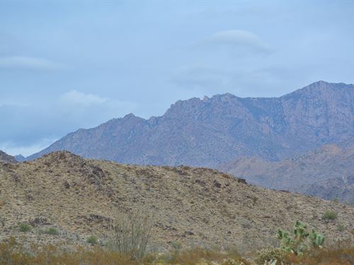 Find Your Freedom Near I-40 : Yucca : Mohave County : Arizona