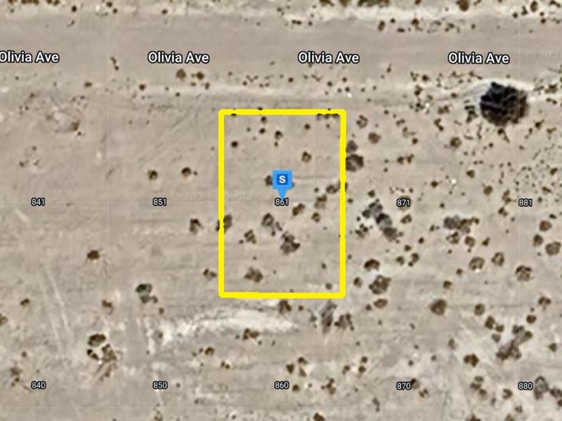 Land with Access, $361.14 Down : Pahrump : Nye County : Nevada
