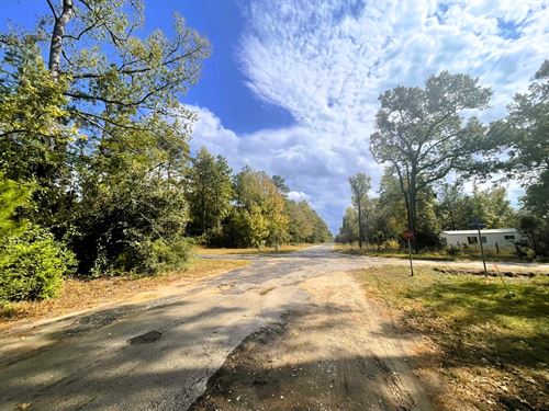 .35 Acre Double Lot with Utilities : Trinity : Texas