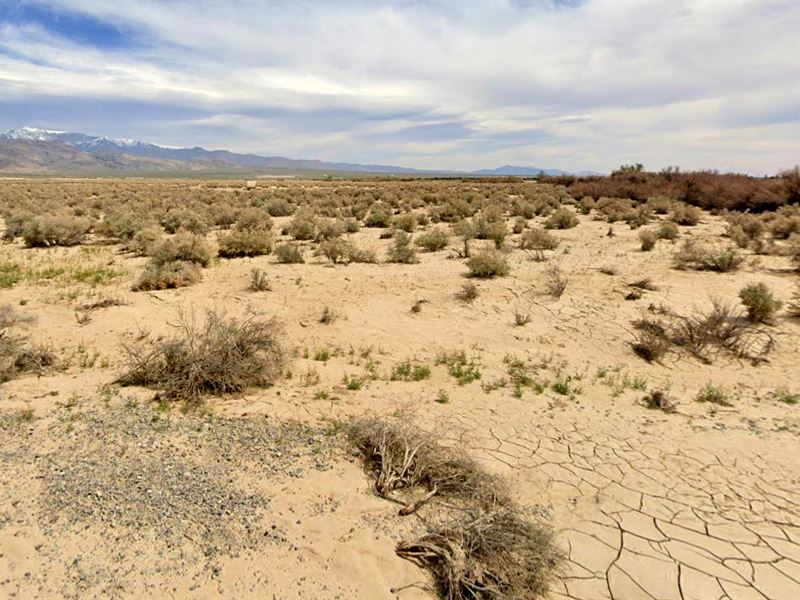 Claim Your Dream for $256.97/Mo : Pahrump : Nye County : Nevada