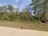 An Investment Property Only $291/Mo : Interlachen : Putnam County : Florida
