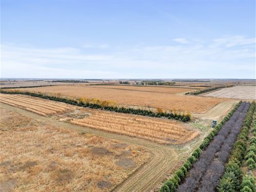 Pheasant Camp Lodge : Lake Andes : Charles Mix County : South Dakota