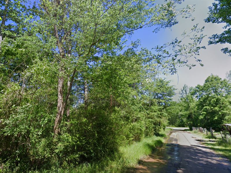 .5 Acre Escape by Caddo Lake : Bivins : Marion County : Texas