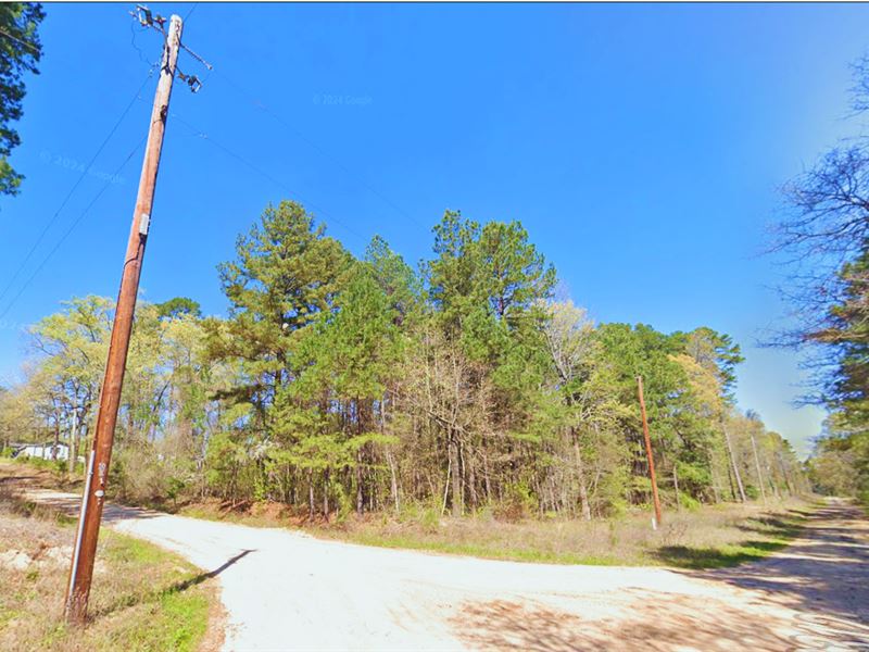 Build Your Cabin Near Lake, $240/Mo : Jefferson : Marion County : Texas