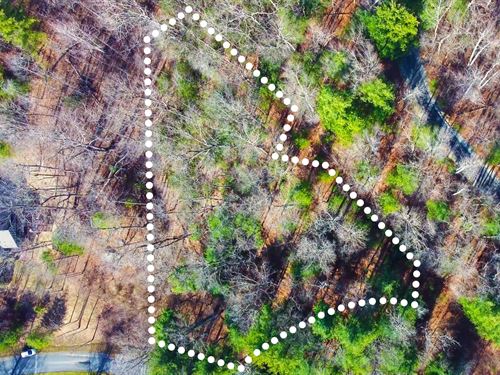 Calm, Mountain Lot, Owner Financing : Hendersonville : Henderson County : North Carolina