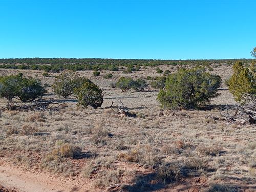 $249 Down, 5 Acres in Sanders, AZ : Saint Johns : Apache County : Arizona