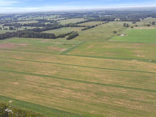 401 Ac Cattle Farm in Howell County : Caulfield : Howell County : Missouri