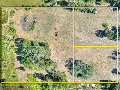 Lithia Acreage Homesites 7 Acres : Lithia : Hillsborough County : Florida