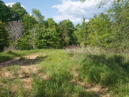 Beautiful Property Low Down Payment : Monticello : Wayne County : Kentucky