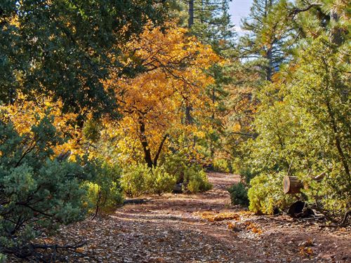 Casa Madera Estates : Twain Harte : Tuolumne County : California