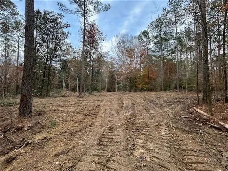 3 Acres on Milton Rd, Smithdale : Smithdale : Amite County : Mississippi